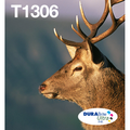 Epson T1306 multipack 3 cartouches d'encre superhaute volume (Original) Encres et toners