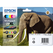 Epson 24XL (T2438) multipack 6 couleurs haute volume (Original) Encres et toners